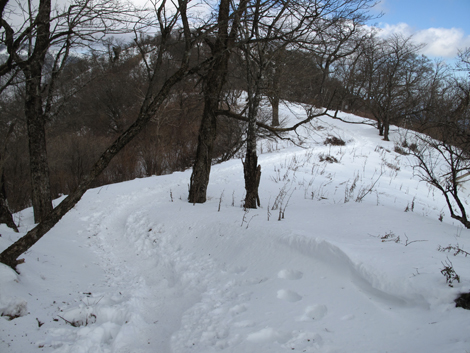20170118hike (215)